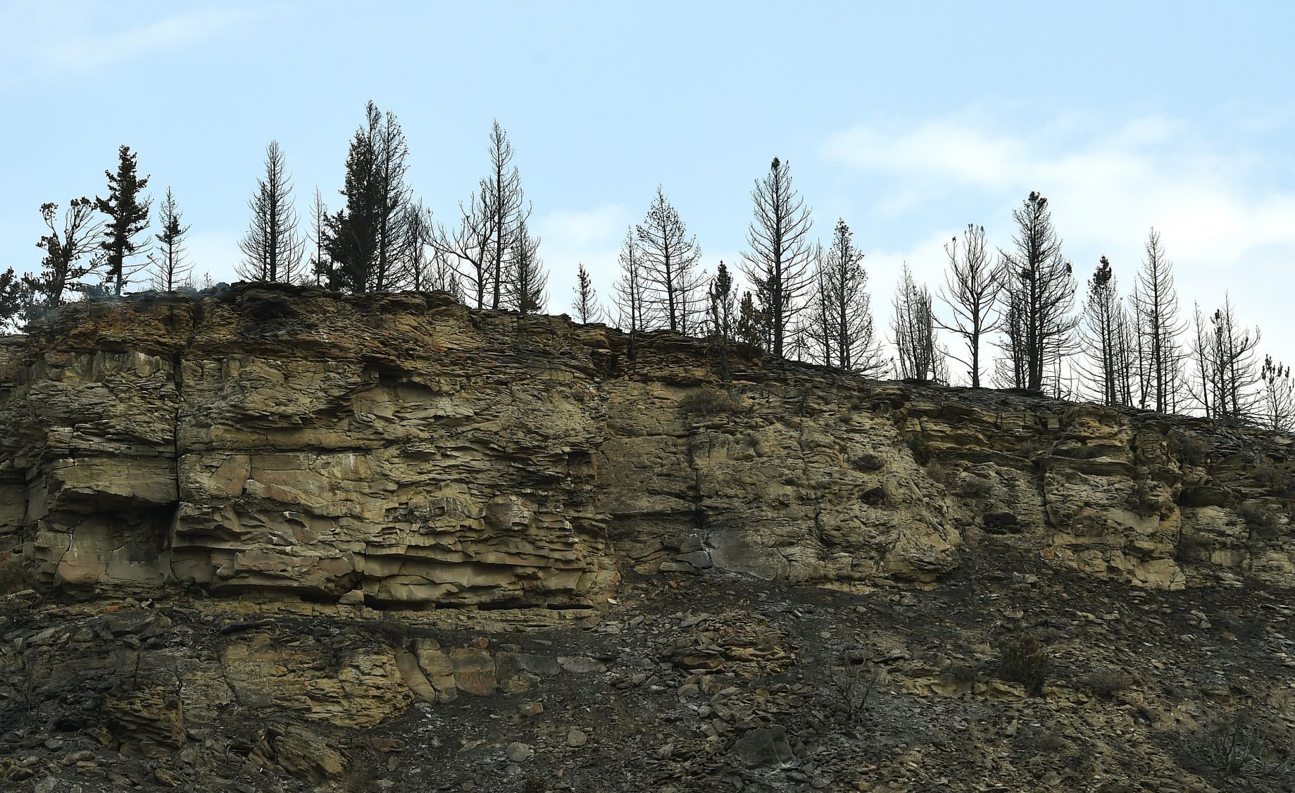 McGuane fire ridge
